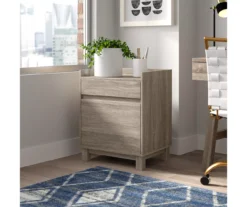 Margo Gray 2-Drawer Filing Cabinet -Furniture Series Sales 810386285 A8 11