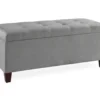Erin Gray Padded Shoe Storage Ottoman -Furniture Series Sales 810389631 5