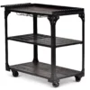 Sherlock Rolling Server Cart -Furniture Series Sales 810423041 2