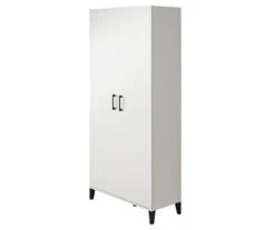 Systembuild Amplus 2-Door Storage Cabinet 17 Systembuild Amplus 2-Door Storage Cabinet -Furniture Series Sales 810591242 1